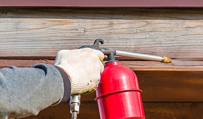 Types of Termite Treatment