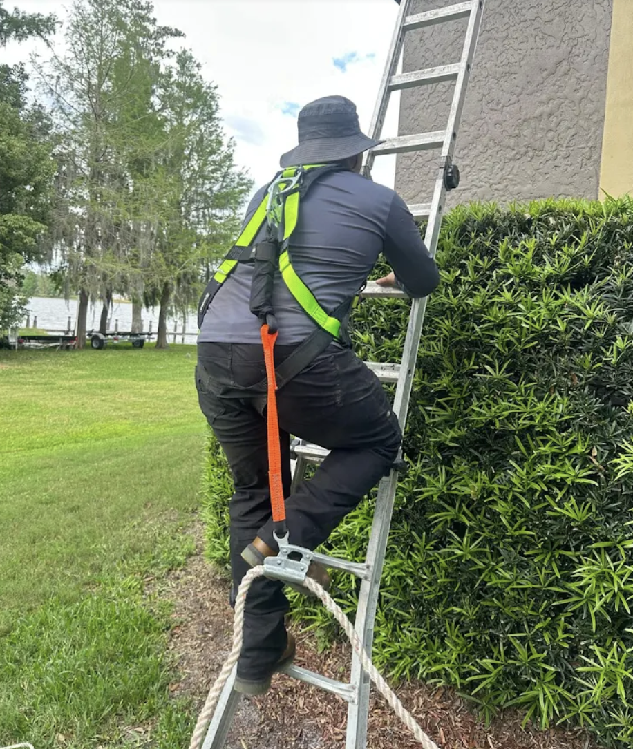 Wildlife Trapping In Orlando Beacon Pest Services